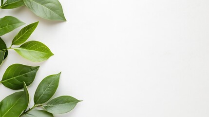 Poster - Fresh green leaves arranged elegantly on a plain background capturing simplicity and the beauty of nature : Generative AI