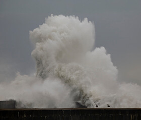 Fototapete - Big stormy sea wave splash