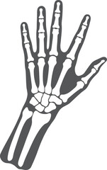 a detailed depiction of a human skeletal hand in a flat design style showcasing anatomical structure