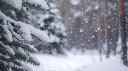 Poster - Gentle snowfall in a quiet forest with snowcovered trees and a soft winter atmosphere : Generative AI
