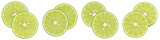 Set of Overlapping Lime Slices