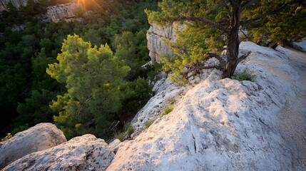 Aufkleber - Peaceful Sunset View Over Rocky Cliff Surrounded by Lush Green Pines in Natural Landscape : Generative AI