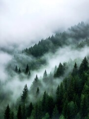 Poster - Ethereal misty forest landscape shrouded in fog revealing lush green pine trees and mountains : Generative AI