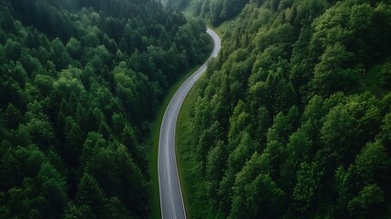 Aufkleber - Scenic aerial view of a winding road surrounded by lush green forests : Generative AI