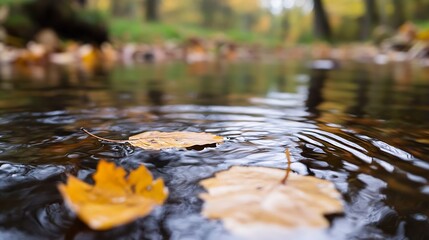 Poster - Beautiful autumn leaves floating on a serene river surface creating a tranquil nature scene : Generative AI