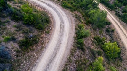 Poster - Winding dirt road through green landscape showcasing natural beauty and serenity : Generative AI