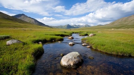Poster - Serene Landscape Featuring a Clear Stream Flowing Through Boulders in Open Field : Generative AI