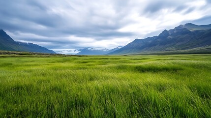 Poster - Expansive green field surrounded by majestic mountains under a cloudy sky : Generative AI