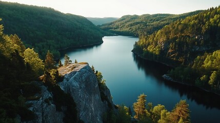 Poster - Breathtaking Aerial View of Serene Lake Surrounded by Lush Evergreen Forests : Generative AI