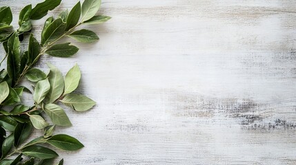 Poster - Fresh green leaves arranged artistically on a textured wooden surface highlighting the beauty of nature : Generative AI