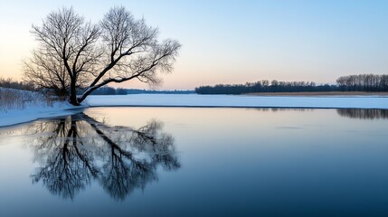 Poster - Tranquil winter scenery featuring a lone tree reflecting in calm waters during a pastel sunset : Generative AI