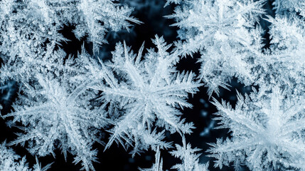 Poster - Intricate frozen fractals texture for winter designs and creative projects