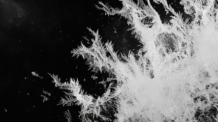 Poster - Frost crystal overlay texture for winter design and decoration