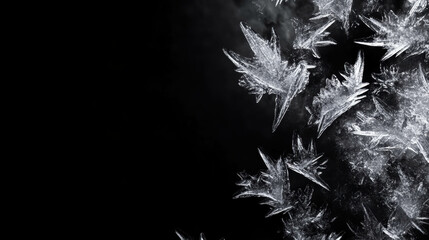 Poster - Frost crystal overlay texture on black background for winter design and decoration