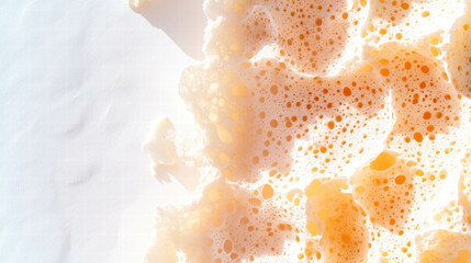 Poster - Natural overlay texture of dried sea sponges with porous details for creative design