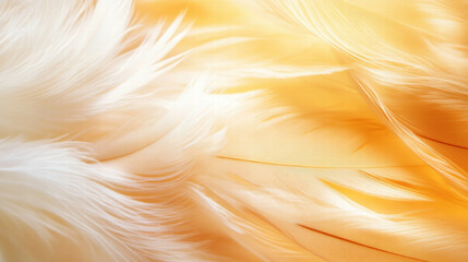 Poster - Elegant bird feather overlay texture with soft pastel hues for design