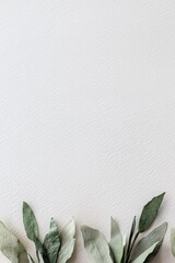 Poster - Soft green grass painted with watercolors transitions smoothly into a light textured paper backdrop, leaving room for customizable text. Ideal for artistic and stationery projects