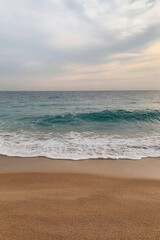 Wall Mural - Gentle waves lapping onto a sandy beach under a serene sky, creating a peaceful coastal scene.