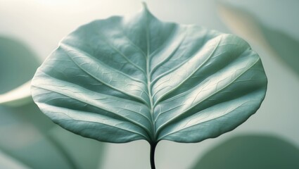 Poster - Close-up of a leaf in gentle hues.
