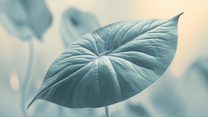Poster - Close-up view of a leaf in muted tones.