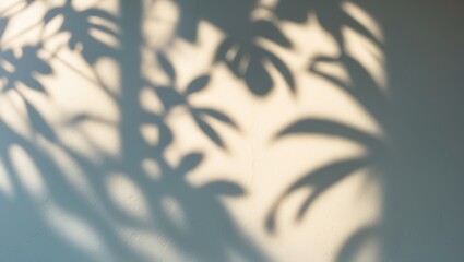 Poster - White wall with an overlay of leaf shadows. Sunlight effect casts a shadow on the wall. Minimal blurred background. Summer tropical surface backdrop.