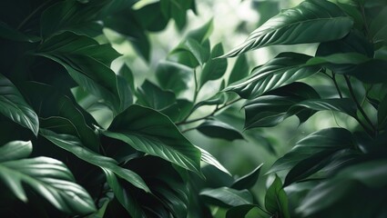 Poster - Nature of deep green leaves. Natural green plant leaves providing a background cover page for environment ecology or greenery wallpaper.