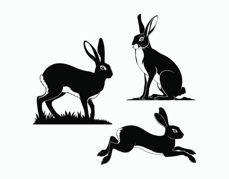 Minimal Hare Silhouette Vector Template