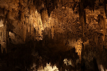 Wall Mural - Rock formations in Carlsbad Caverns National Park, New Mexico