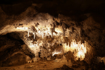 Wall Mural - Rock formations in Carlsbad Caverns National Park, New Mexico