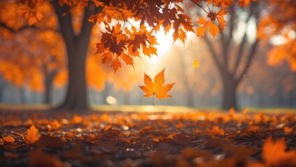 Aufkleber - Sunny autumn day featuring beautiful orange fall foliage in the park. The ground blanketed with dry fallen leaves illuminated by bright sunlight. Autumn landscape showcasing maple trees and the sun...