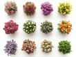 © nattaya - 3d model of different types of flowers and shrubs