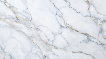 Poster - Luxury Minimalist Background: White Marble Texture with Gray Lines