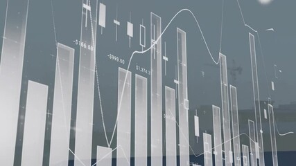 Poster - Animating financial data analysis with rising bar graphs and line charts