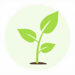 Poster - A green leafy plant with a stem and a small root