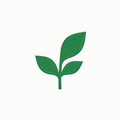 Poster - A green leaf with a white background