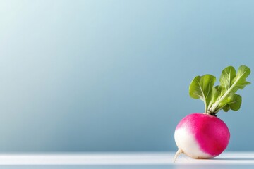 Poster - clean photo of single radish with its leafy top placed on white surface and illuminated by soft light with wide copy