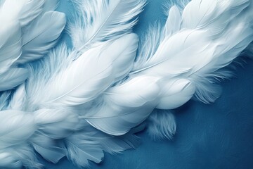Poster - Soft white feathers elegantly scattered over a textured blue background creating a serene and calming aesthetic