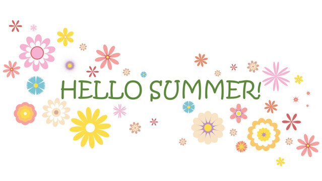 Hello summer horizontal banner with flowers. Wild field flowers poster template with text. Universal floral design, vector graphic
