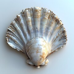 Poster - Close-up view of a beautiful scallop seashell, showcasing its intricate texture and delicate details. Detailed Animal isolated on white background. Close-Up of a Scallop Shell