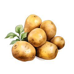 Fototapete - Digital technology potato watercolor design illustration