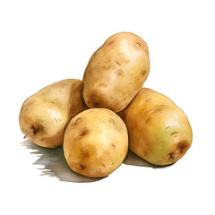 Fototapete - Digital technology potato watercolor design illustration