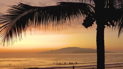 Wall Mural - Coconut palm leaves and nuts on tropical coast illuminated orange dawn, exotic mood vibe. View early morning light public beach with silhouettes of people swimming during a beautiful amazing sunrise