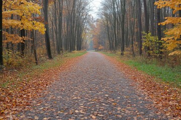 Poster - Scenic autumn pathway lined with colorful foliage in a tranquil forest during a misty day