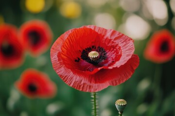 Poster - A close-up shot of a bright red flower growing in a lush green field