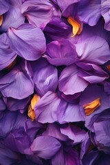 Poster - A detailed view of multiple purple flowers