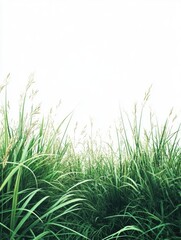Poster - A fire hydrant situated amidst a vibrant green landscape, perfect for use in illustrations and designs related to nature or infrastructure