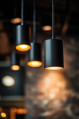Poster - A collection of lights suspended from the ceiling, providing warm and cozy ambiance