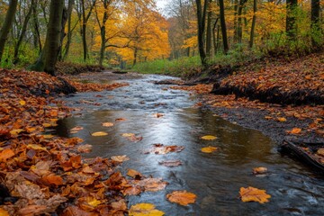 Poster - flowing stream adorned with autumn leaves in a vibrant forest landscape