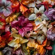 © Beyond Pixels - Close-up, vibrant, colorful flower petals, scattered, high detail, photorealistic