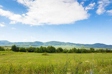 Wall Mural - countryside landscape with field near the hill. beautiful nature of ukraine in summer. blue sky with